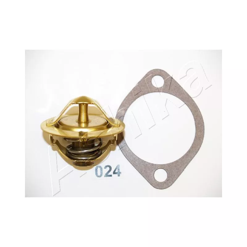 Thermostat d'eau ASHIKA 22-024