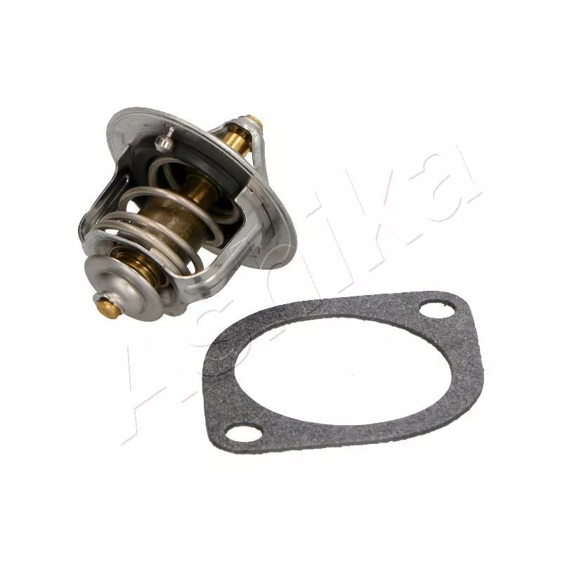 Thermostat d'eau ASHIKA 22-025