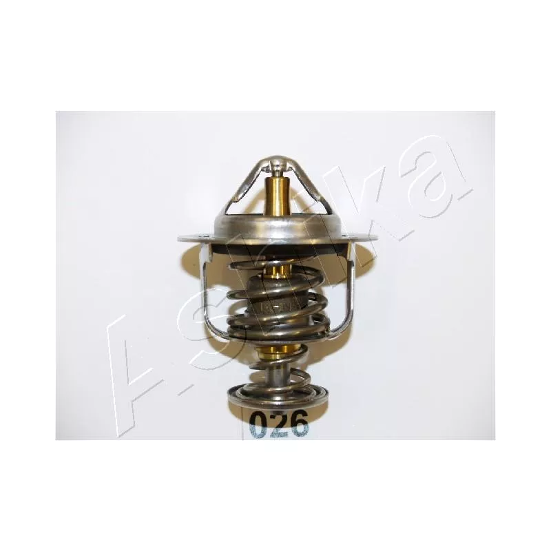 Thermostat d'eau ASHIKA 22-026