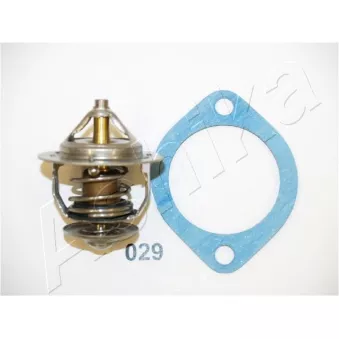 Thermostat d'eau ASHIKA