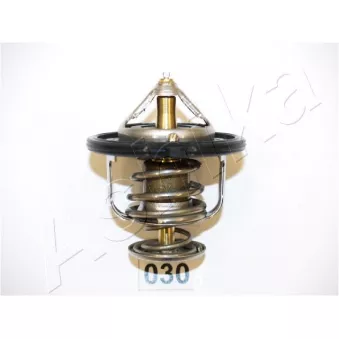 Thermostat d'eau ASHIKA 22-030