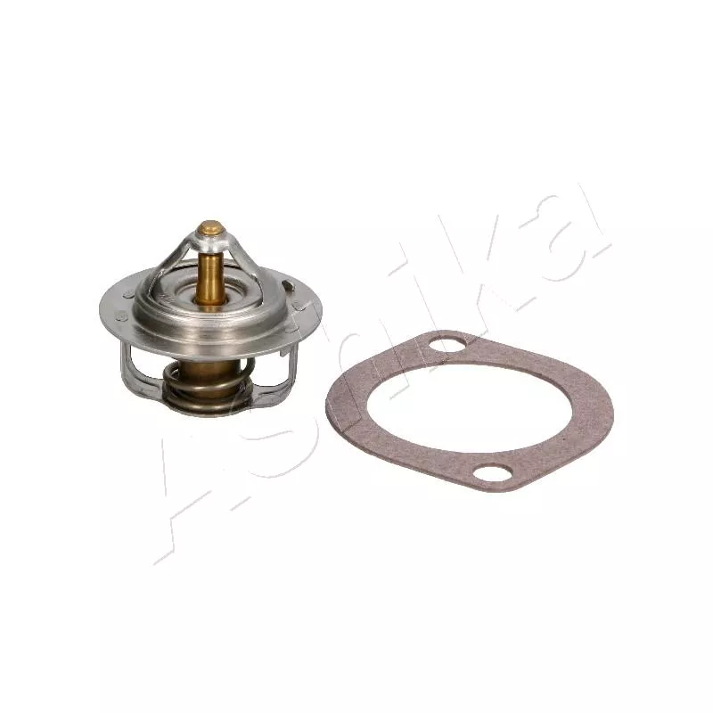 Thermostat d'eau ASHIKA 22-033