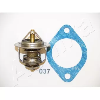 Thermostat d'eau ASHIKA