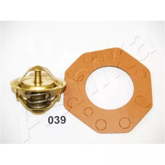 Thermostat d'eau ASHIKA 22-039