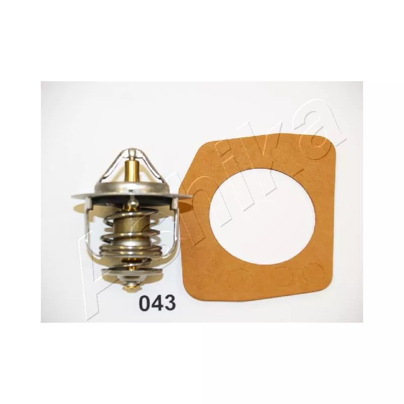 Thermostat d'eau ASHIKA 22-043