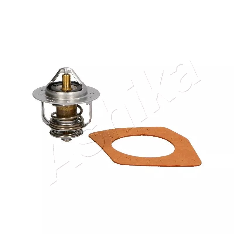 Thermostat d'eau ASHIKA 22-045