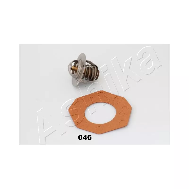 Thermostat d'eau ASHIKA 22-046