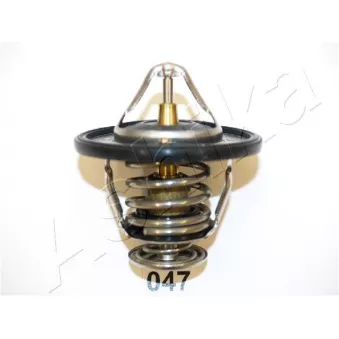 Thermostat d'eau ASHIKA 22-047