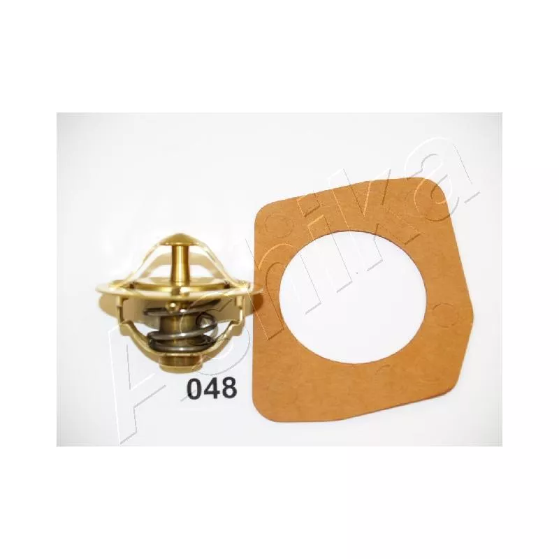 Thermostat d'eau ASHIKA 22-048