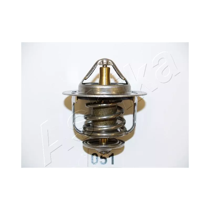 Thermostat d'eau ASHIKA 22-051