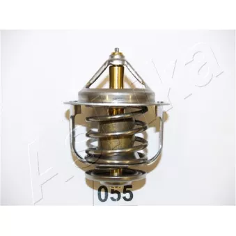 Thermostat d'eau ASHIKA 22-055