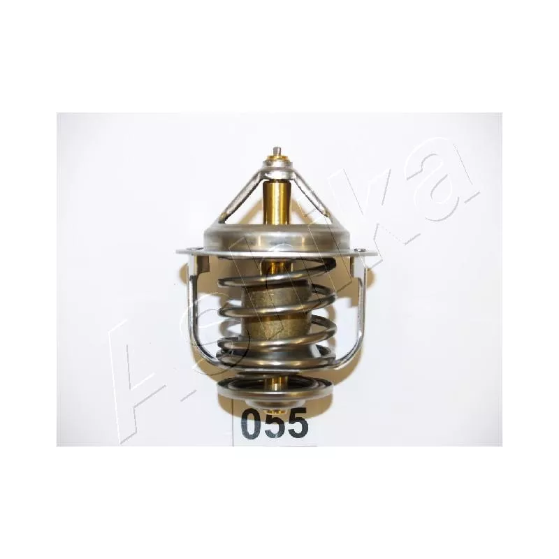 Thermostat d'eau ASHIKA 22-055