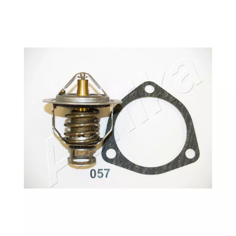 Thermostat d'eau ASHIKA 22-057