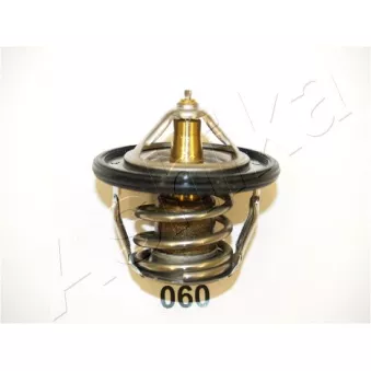 Thermostat d'eau ASHIKA 22-060