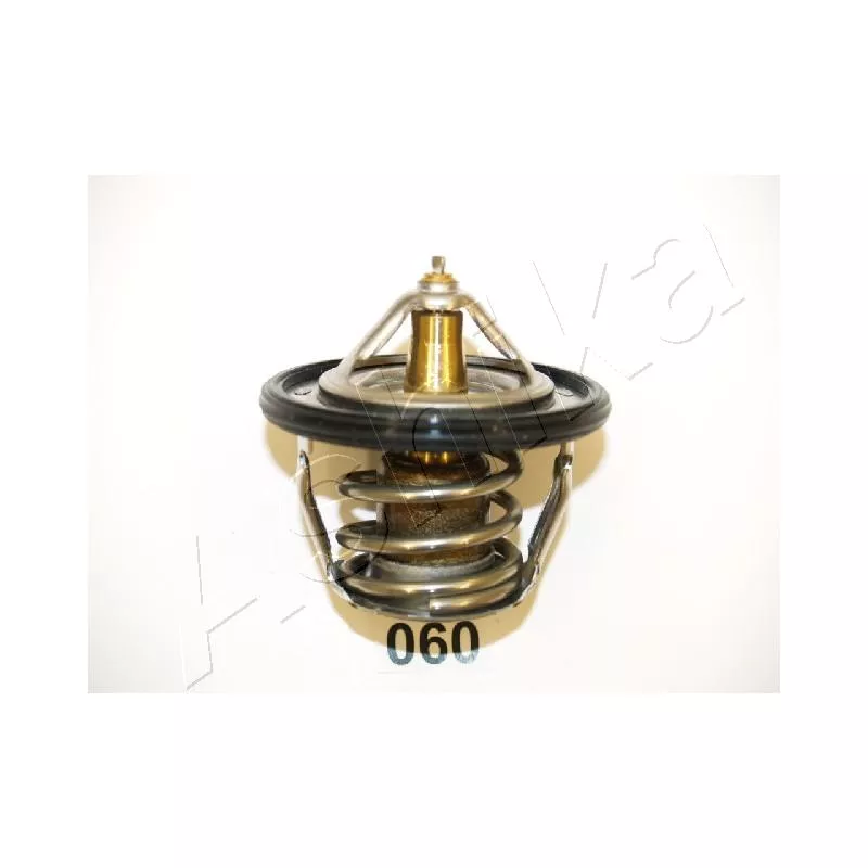 Thermostat d'eau ASHIKA 22-060