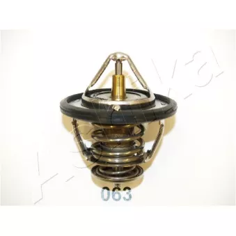 Thermostat d'eau ASHIKA 22-063