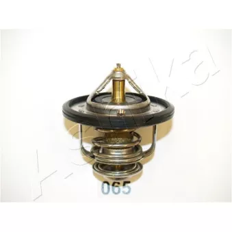 Thermostat d'eau ASHIKA 22-065