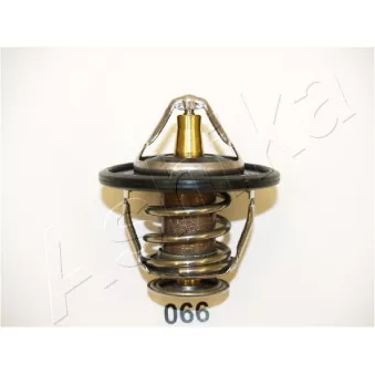 Thermostat d'eau ASHIKA 22-066