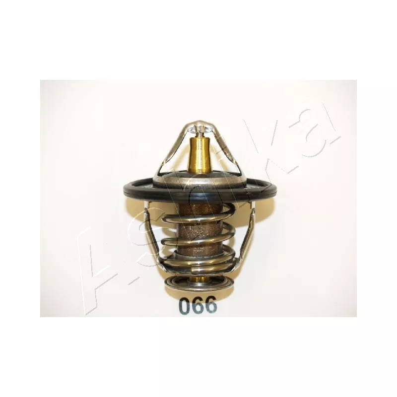 Thermostat d'eau ASHIKA 22-066