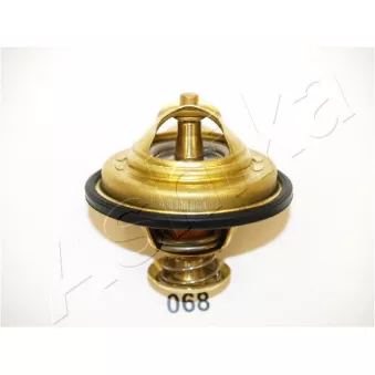 Thermostat d'eau ASHIKA 22-068