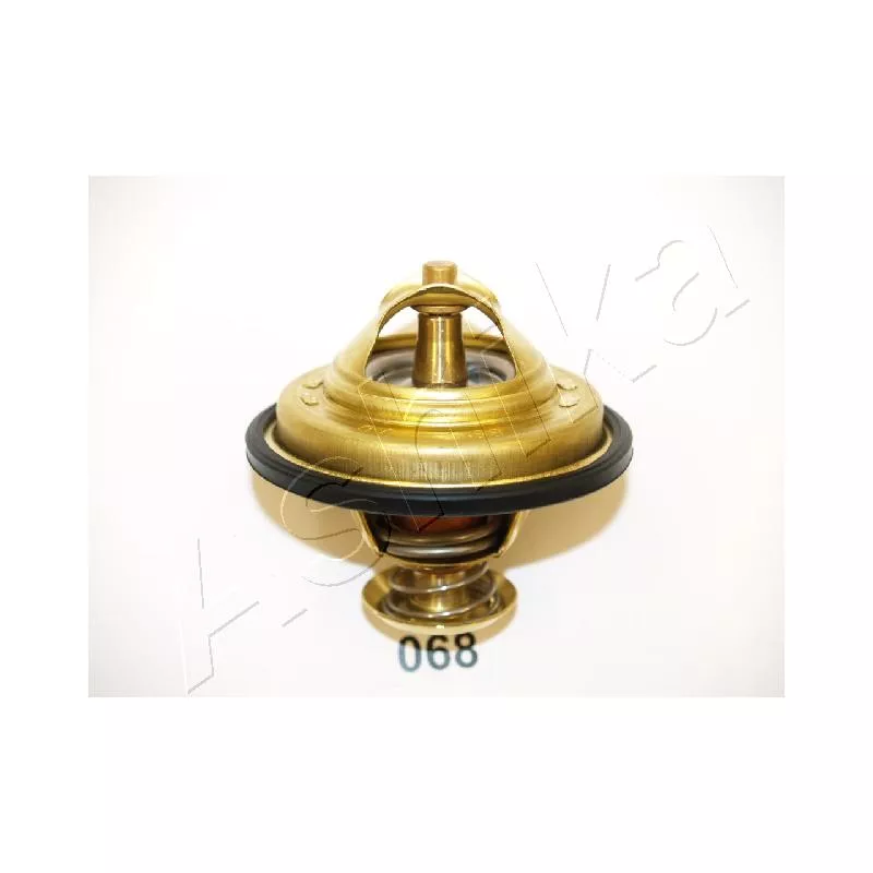 Thermostat d'eau ASHIKA 22-068