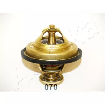 Thermostat d'eau ASHIKA 22-070