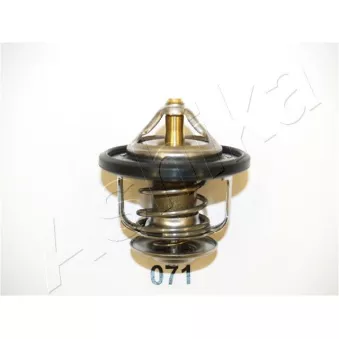 Thermostat d'eau ASHIKA 22-071