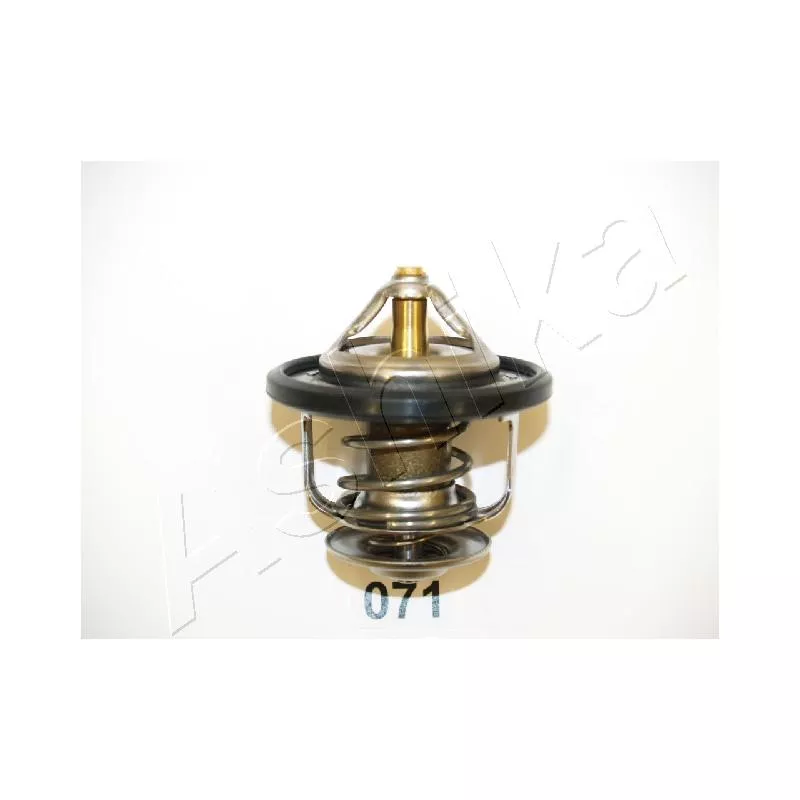 Thermostat d'eau ASHIKA 22-071
