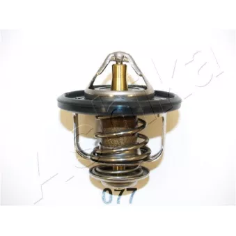 Thermostat d'eau ASHIKA 22-077