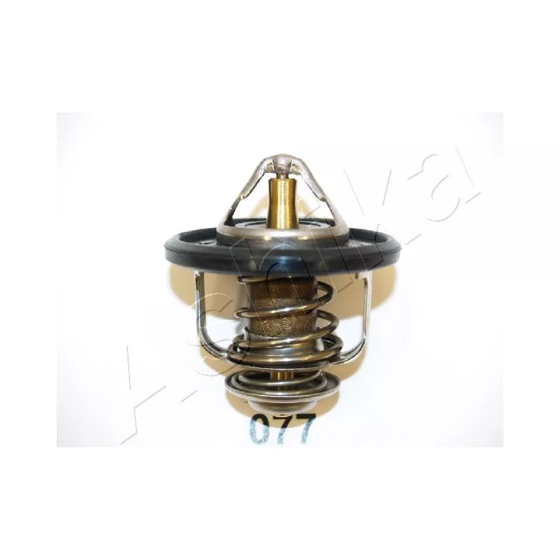 Thermostat d'eau ASHIKA 22-077