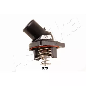 Thermostat d'eau ASHIKA 22-079