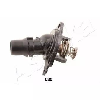 Thermostat d'eau ASHIKA