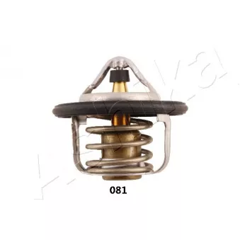 Thermostat d'eau ASHIKA 22-081