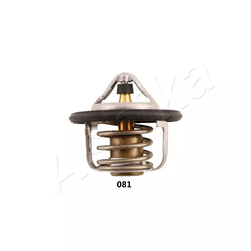 Thermostat d'eau ASHIKA 22-081