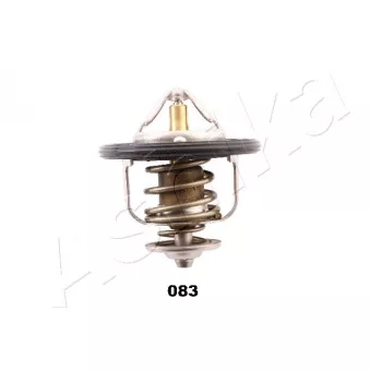 Thermostat d'eau ASHIKA 22-083