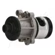 Pompe à eau ASHIKA 35-00-0100 - Visuel 1