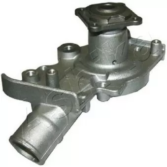Pompe à eau ASHIKA 35-00-0307