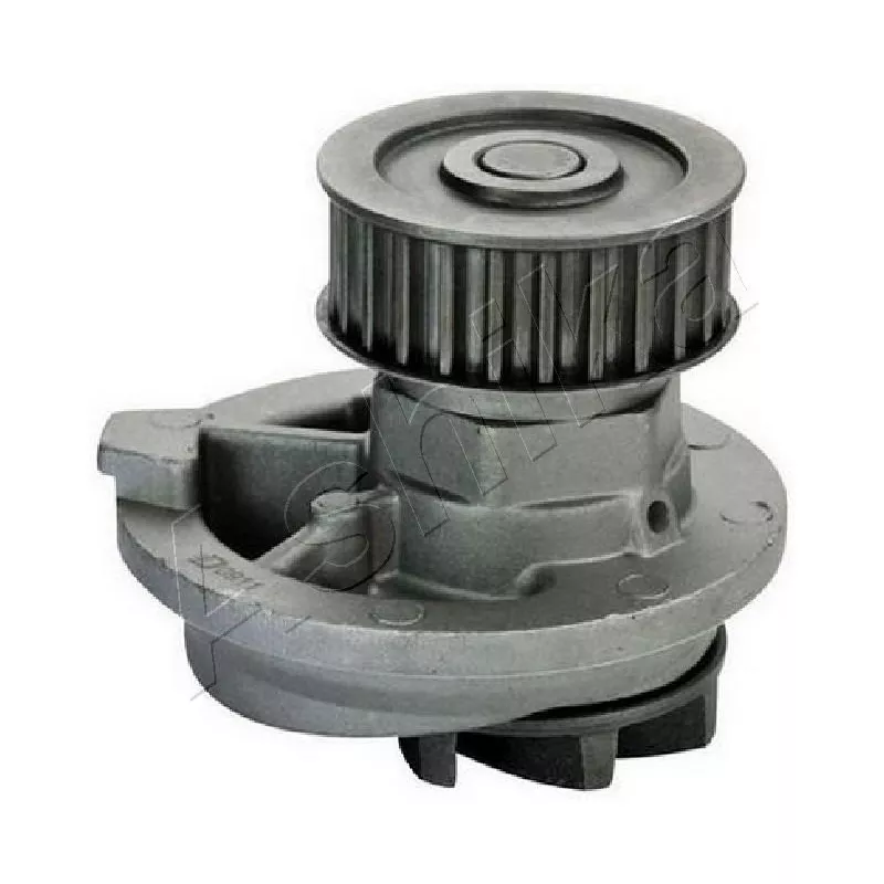 Pompe à eau ASHIKA 35-00-0408
