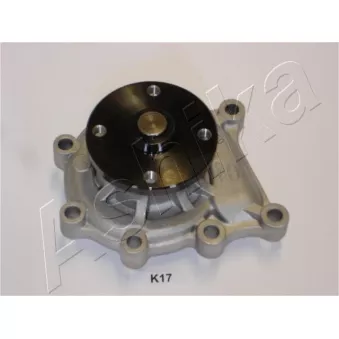 Pompe à eau ASHIKA 35-0K-K17