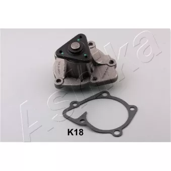 Pompe à eau ASHIKA 35-0K-K18