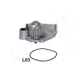 Pompe à eau ASHIKA 35-0L-L03 - Visuel 1