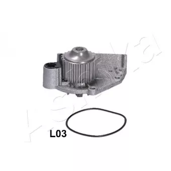 Pompe à eau ASHIKA 35-0L-L03