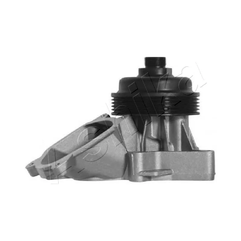 Pompe à eau ASHIKA 35-0L-L06