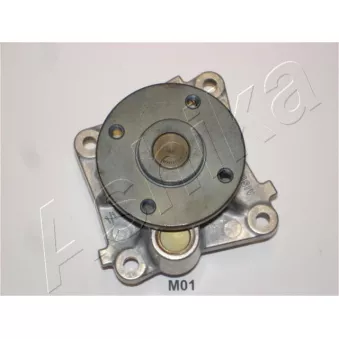 Pompe à eau ASHIKA 35-0M-M01
