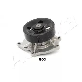 Pompe à eau ASHIKA 35-0S-S03