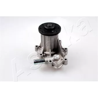 Pompe à eau ASHIKA 35-0S-S05