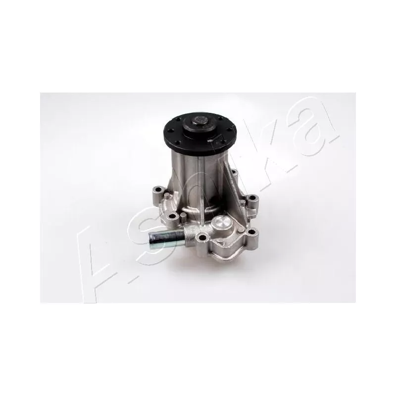 Pompe à eau ASHIKA 35-0S-S05
