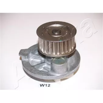 Pompe à eau ASHIKA 35-0W-W12