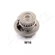 Pompe à eau ASHIKA 35-0W-W16 - Visuel 1