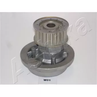 Pompe à eau ASHIKA 35-W0-001